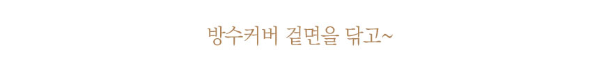 상세